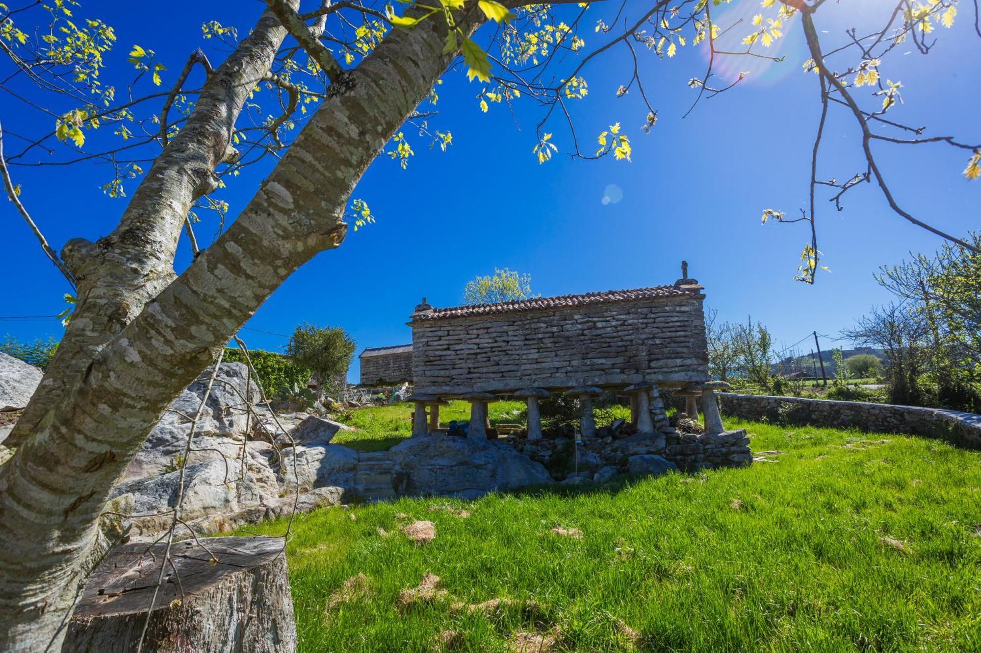 בית הארחה Casa Lela דומבריה מראה חיצוני תמונה